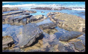 Coledale Beach Camping Reserve Pic 4 - Beautiful beach