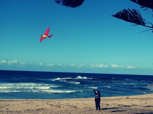 Coledale Beach Camping Reserve Pic 2