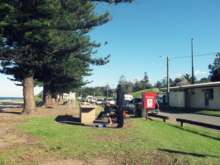 Coledale Beach Camping Reserve Pic 1