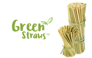 Its Eco Pty Ltd Pic 2 - Learn more about Green Straws httpsecogreenstrawscom