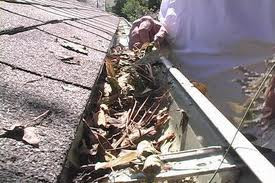 Trentino Maintenance Service Pic 4 - Gutter Cleaning