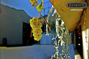 Patritti G & Co Pty Ltd Pic 2 - Grapes arriving at Patritti Wines