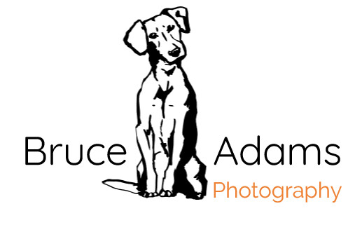 Bruce Adams Photography Pic 2