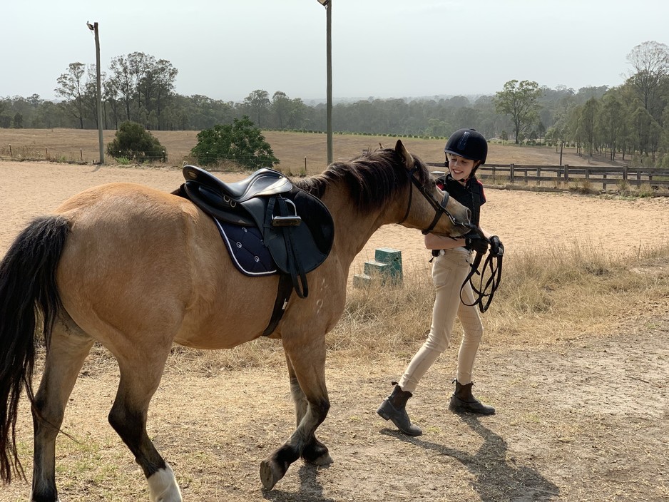 Sydney Horse Pic 1 - Nipper off to work with Natalia