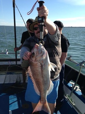 Reel Adventure Fishing Charters Pic 3 - Fishing Westernport