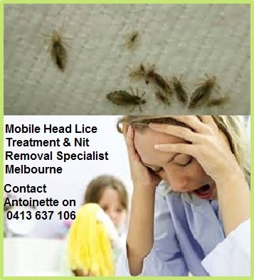 ITCH NO MORE - Specialized Head Lice Treatment Service Pic 1