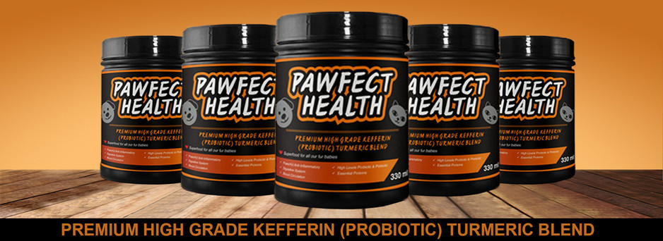 Pawfect Health Pic 2