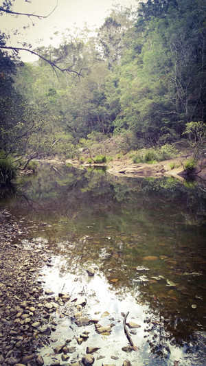 Pollys Country Kitchen Pic 4 - The beautiful creek on the property at the lovely Pollys kitchen