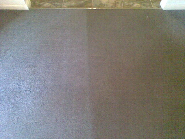 The Pink People Cleaning Services Pic 1 - standard carpet steam cleaned