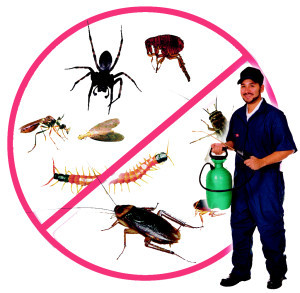 Australian Pest Management Systems Pic 1