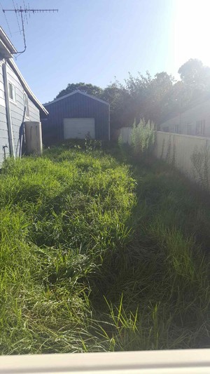 A Cut Above Lawn & Property Care Pic 3