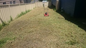 A Cut Above Lawn & Property Care Pic 4