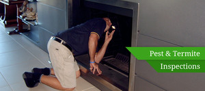 Super Pest Controllers - Gold Coast Pest Inspection, Treatment & Control Pic 3 - Pesttermite inspections