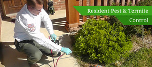 Super Pest Controllers - Gold Coast Pest Inspection, Treatment & Control Pic 2 - Residental pesttermite control