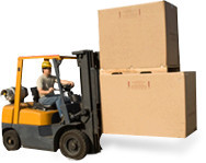 Aussie Forklift Sales Pic 2