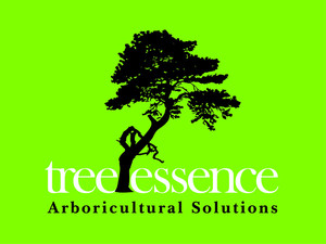 Tree Essence Pic 3