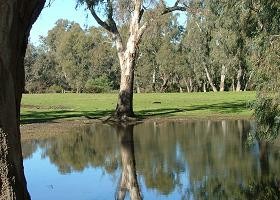 The Pelican Bed And Breakfast Pic 1 - Lagoon