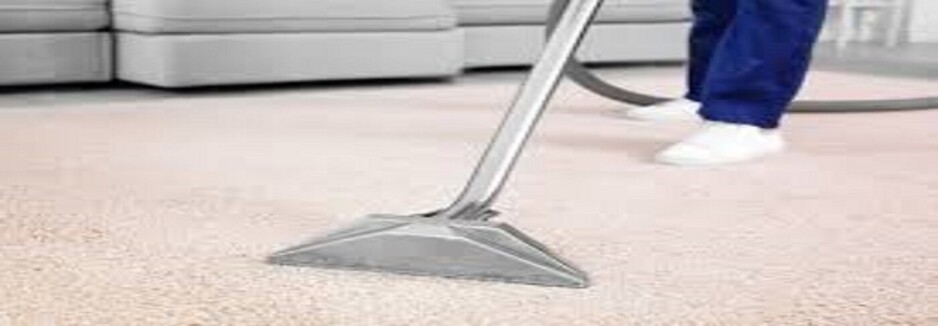 Carpet Cleaning Hunters Hill Pic 1