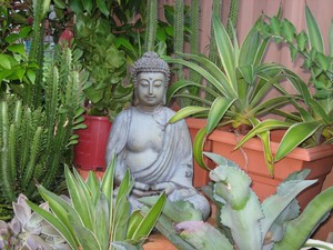 Mavis De Monte Pic 5 - inner zen healing