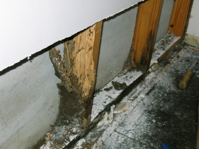 All About Termite Management Pic 1 - Damage located in a garage