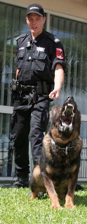 Proactive Security Pic 3