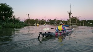 Canoe the Riverland Pic 4 - Sunset Tours