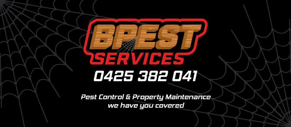 BPest Services Pic 1