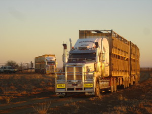 Meandarra Transport Pic 3