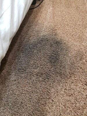 Carpet Cleaning Casey Pic 3