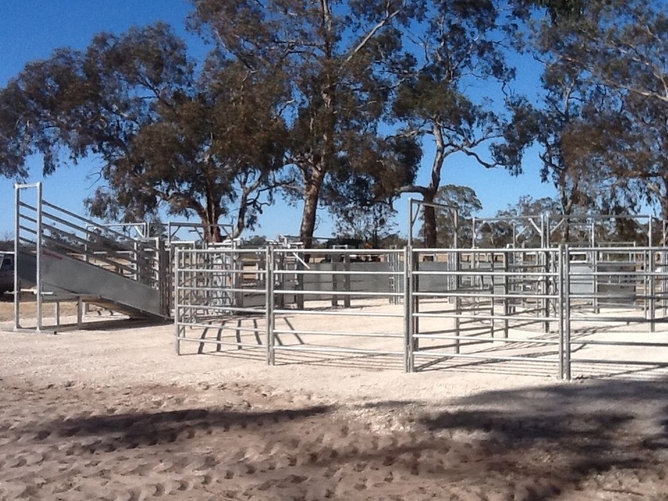 Robertson's AI/NHD Pic 1 - Red River Cattle yards