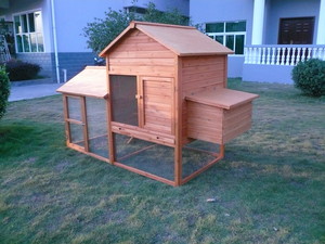 West Pets Australia Pic 3 - Chicken Coop WP005