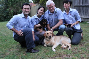 Hurlstone Park Veterinary Hospital Pic 2