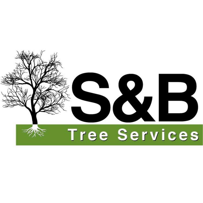 S&b Tree Services Northern Beaches Pic 1