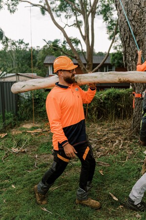 S&b Tree Services Northern Beaches Pic 4