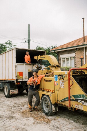 S&b Tree Services Northern Beaches Pic 5