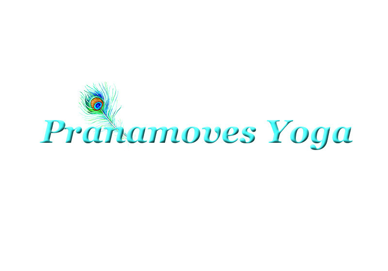 Pranamoves Yoga Pic 1