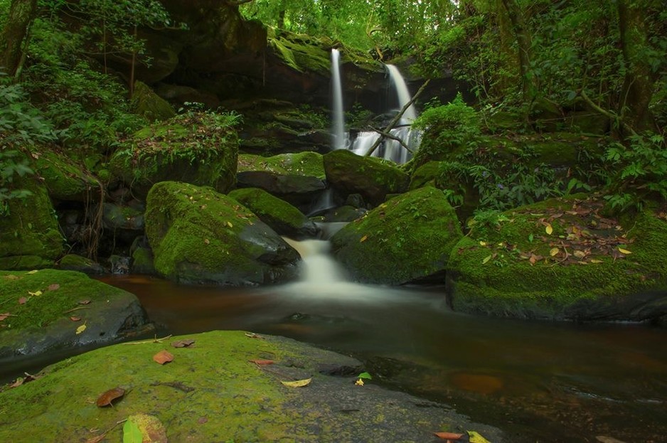 Sustainable Futures Australia Pic 1 - Founded in Northern NSW Australia we continue to be inspired by this amazing region whilst working nationally and internationally