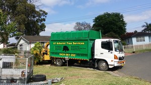 A1 Arborist Tree Service Pic 2 - Truck and mulcher