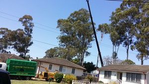 A1 Arborist Tree Service Pic 3 - Crane work