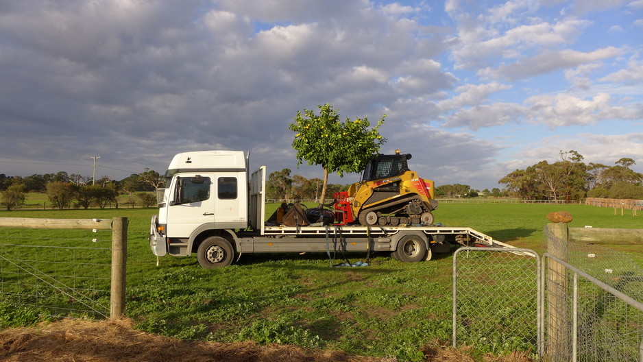 Vic Tree Solutions Pic 1