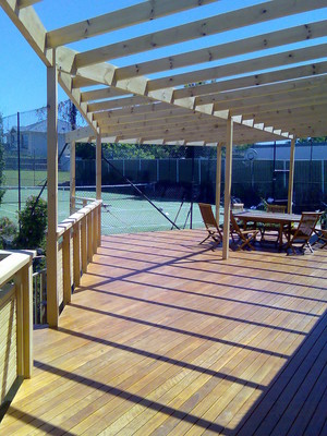 Better Decks Pic 2