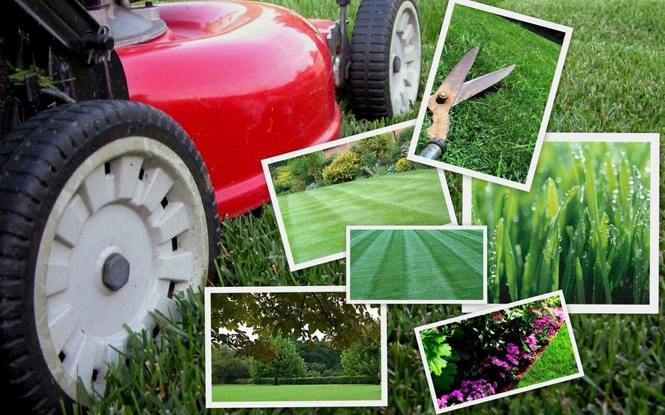 Birty's Lawn Care Pic 1