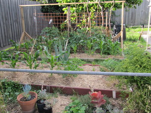 Can Do Home & Garden Pic 2