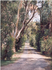 Bloomfield Garden and Home Maintenance Pic 1 - Bloomfield Cottages