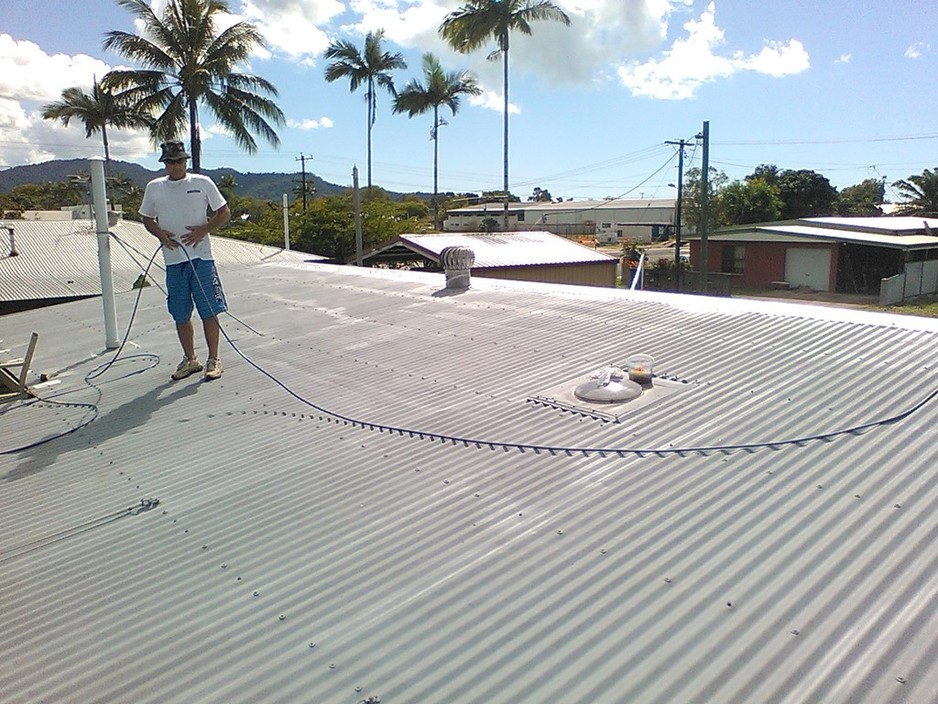 Darryn Kings painting service Pic 1 - roof repaint