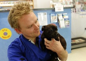 Concord Veterinary Hospital Pic 2 - Dr David Hughes