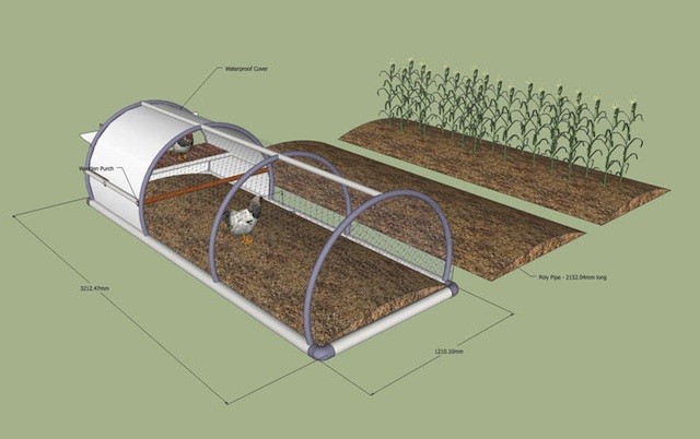 Organic Motion Pic 1 - Chicken Tractor