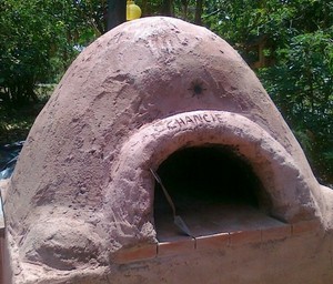 Organic Motion Pic 2 - Pizza Oven