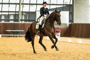 Gone Riding Media Pic 3 - Dressage