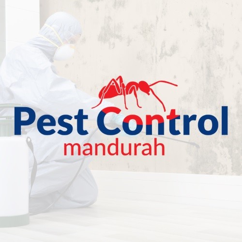 Pest Control Mandurah Pic 1